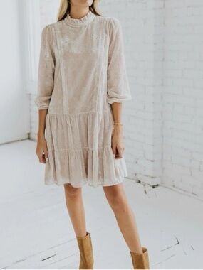 Roolee SALT Midtown Regal Velvet Dress in Seashell